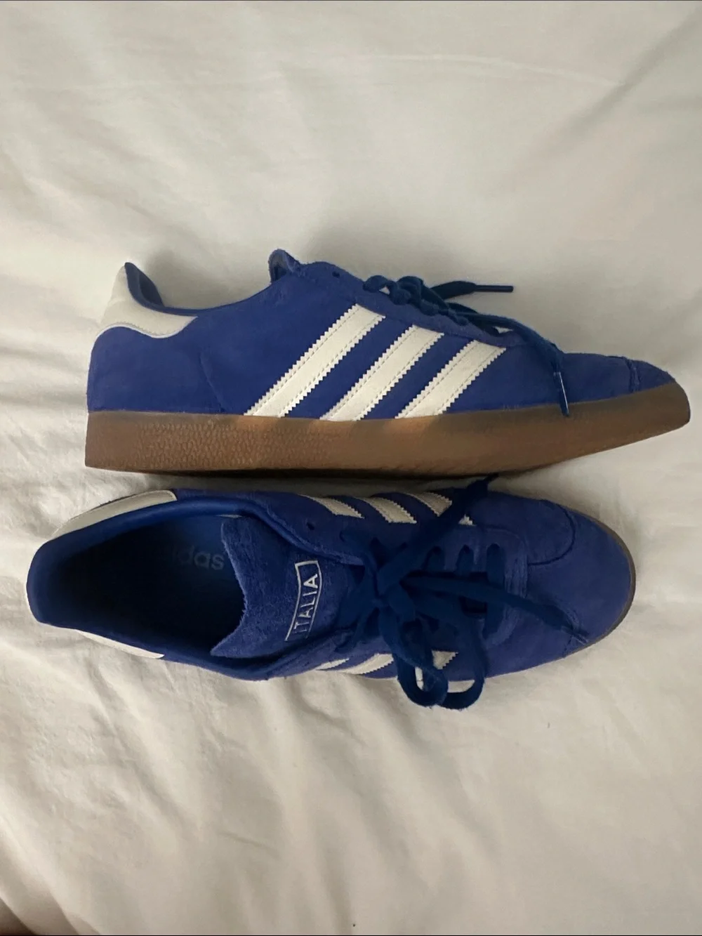adidas gazelle in royal blue suede
